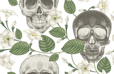 Seamless pattern with flowers and skulls.