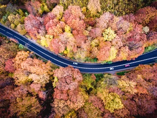 Fototapeten Road in the forest. Hi mountain pass in Transylvania. Aerial view from drone. © Calin Stan