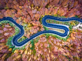  Kronkelende weg door het bos. Hallo bergpas in Transsylvanië, Roemenië © Calin Stan