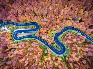 Fototapeten Kurvenreiche Straße durch den Wald in Siebenbürgen, Rumänien © Calin Stan