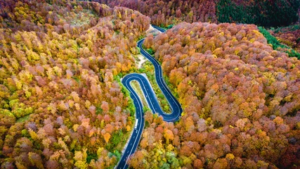 Fototapeten Winding road trough the forest. Hi mountain pass in Transylvania © Calin Stan