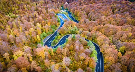 Tuinposter Aerial drone view of a curved winding road through the forest hi © Calin Stan
