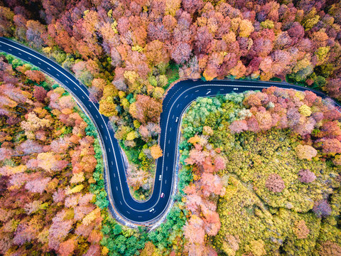 Aerial drone view of a curved winding road through the forest high mountain pass.
