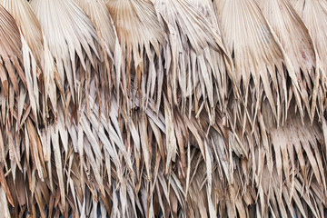 Wall of Thai farmer cottage in countryside.