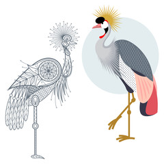 Bird Crowned crane. Flat icon and template for adult coloring, zen tangle. Set of vector animals in different unusual style. Illustration collection of nature objects isolated on white background.