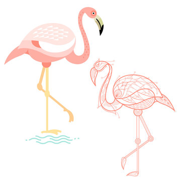 Bird flamingo. Flat icon and template for adult coloring, zen tangle. Set of vector animals in different unusual style. Illustration collection of nature objects isolated on white background.