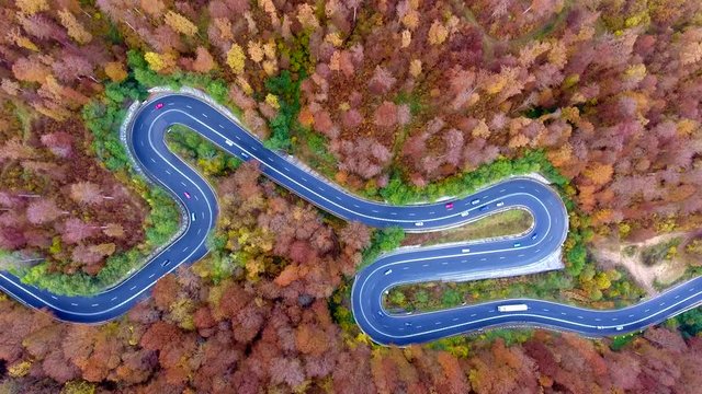 Winding road trough the forest. Aerial view from a drone. Cars traveling on the road.