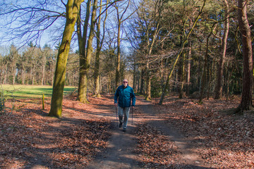 Fototapeta premium Senior at the Nordic walking in landscape of autumn forest