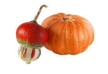 Pair of decorative pumpkins