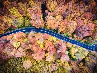  Winding road trough the forest in Transylvania, Romania © Calin Stan