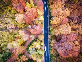 Fototapeten Winding road trough the forest in Transylvania, Romania © Calin Stan