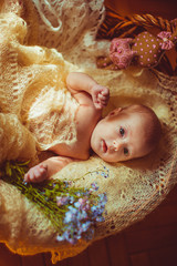 amazing   newborn girl lying in the  big basket