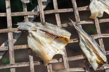 Dried Fish