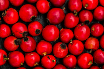 Macro of rose hip berry on black background, natural texture