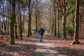 Fototapeta na wymiar Retired vital man alone at the Nordic walking in the forest