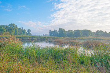 Shore of a lake at sunrise in autumn