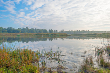 Shore of a lake at sunrise in autumn