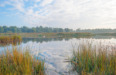 Shore of a lake at sunrise in autumn