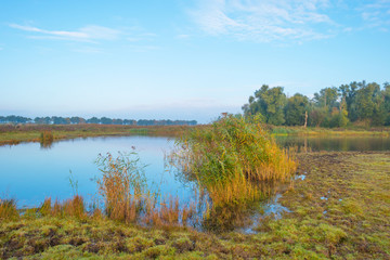 Shore of a lake at sunrise in autumn