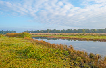 Shore of a lake at sunrise in autumn