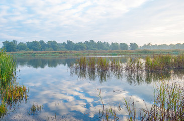 Shore of a lake at sunrise in autumn