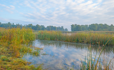 Shore of a lake at sunrise in autumn