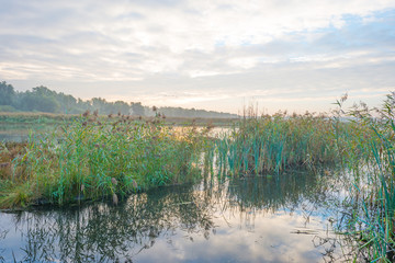 Shore of a lake at sunrise in autumn