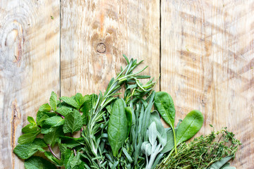 mint, rosemary, thyme - fresh herbs for cooking top view