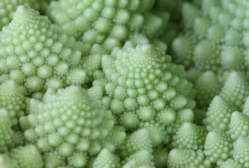 Macro of Romanesco broccoli, or Roman cauliflower, with its fractal shapes and Fibonacci sequences. Close-up.