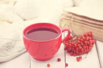 Red cup of a therapeutic herbal tea with rowan berry 