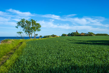 An der Steilküste Staberhuk auf der Insel Fehmarn