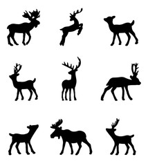 Set of deer