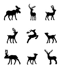 Set of deer