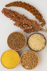 Twig red millet and sorghum, grain buckwheat, millet, rice, whea
