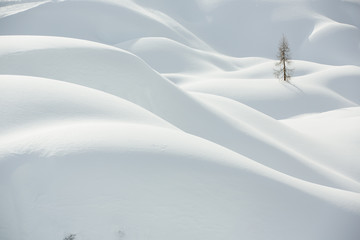 Sneeuw, winterberglandschap, alleen boom