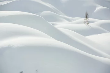 Foto auf Acrylglas Hügel Schnee, winterliche Berglandschaft, Baum allein