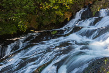 Fototapeta premium Nature waterfall in the forest water stream.