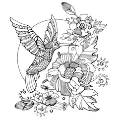 Hummingbird coloring book for adults vector