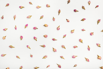 many rose flower buds on white paper background