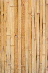 Bamboo wall house pattern