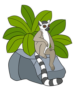 Cartoon animals for kids. Little cute lemur on the stone.
