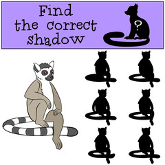 Educational game: Find the correct shadow. Little cute lemur.