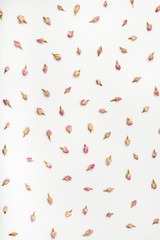 dried rose flower buds on white paper background