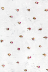pink rose flower buds on gray concrete surface