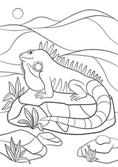 Coloring pages. Cute iguana sits on the rock.