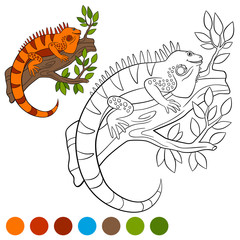 Color me: iguana. Cute orange iguana sits on the tree.