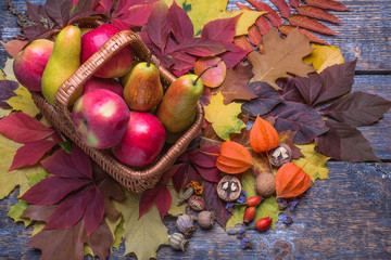 Pumpkin, apples, viburnum, physalis, briar, nuts and autumn leaves on a wooden background old.