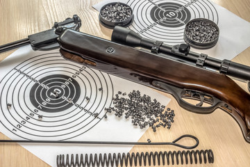 air gun with bullets targets
