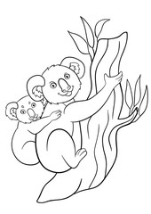 Coloring pages. Mother koala with her little cute baby.