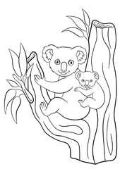 Obraz premium Coloring pages. Mother koala with her little cute baby.